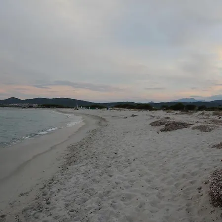 Casetta Dei Pini Ferienhaus Tanaunella